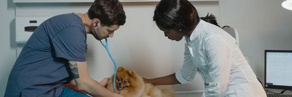 Consulta Clínica